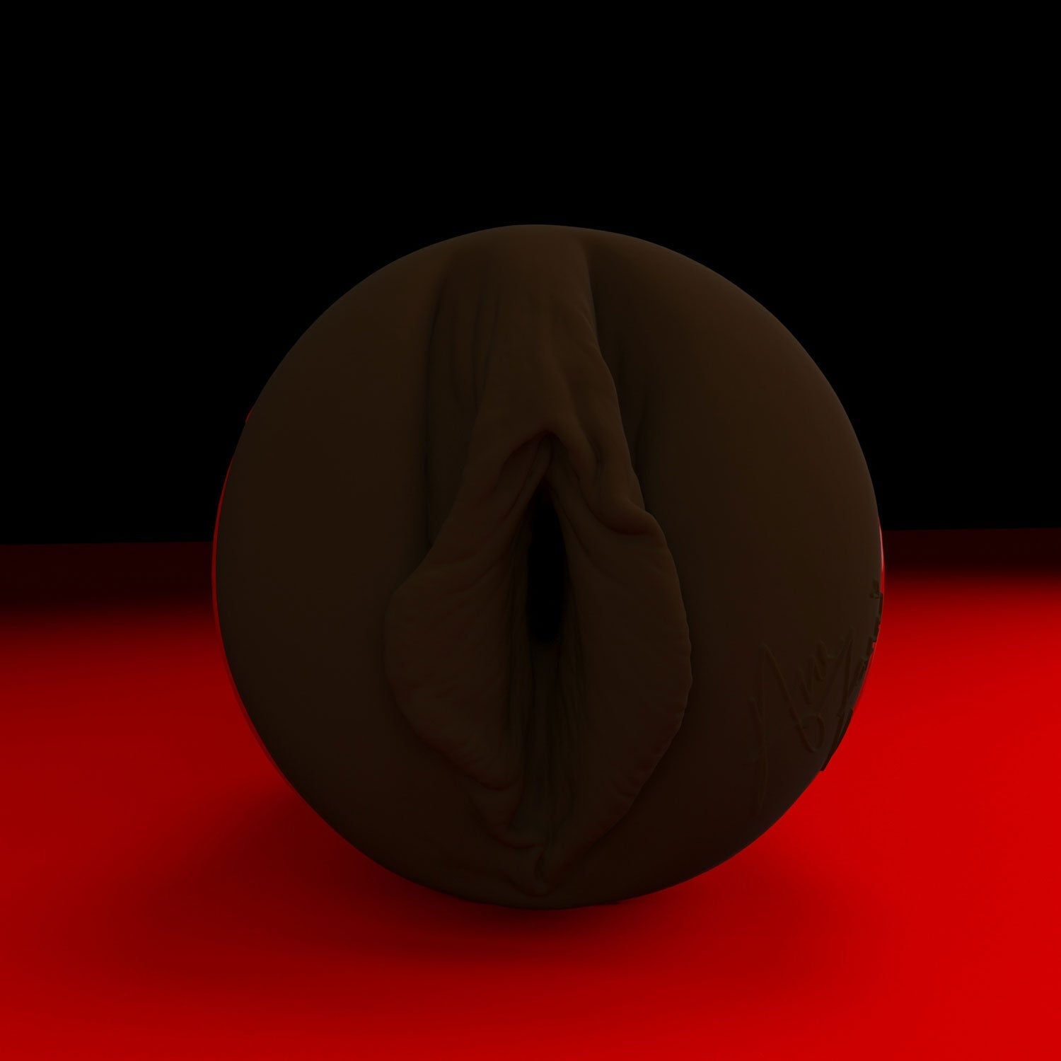 ana-foxxx-rickys-room-edition-stroker-fleshlight-9849455_16588e5c-f64e-43a2-96e1-d06b50a2fddb.jpg